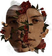 Maybe you would like to learn more about one of these? Download Shawn Mendes En Chile 2018 Music Album Covers Png Image With No Background Pngkey Com