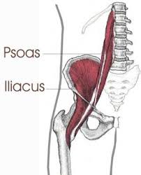 The group of hip muscles called the deep six is a set of small muscles, deep inside the hip, that laterally rotates the leg in the hip joint. Hip Stretches