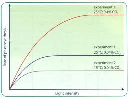 Biology Notes For A Level 105 Limiting Factors In Photosynthesis
