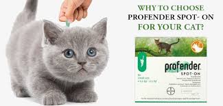 Profender provides treatment and control of common parasitic cat worms. Why Do You Recommend Profender Spot On For Cats