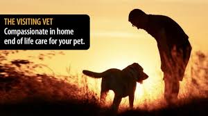 As our closest family members they deserve. In Home Dog And Cat Euthanasia Visiting Vet