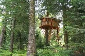 Construire une cabane dans un arbre n'est pas facile. Sejournez Dans Une Cabane Dans Les Arbres Page 4 Sur 16 Cabanes De France