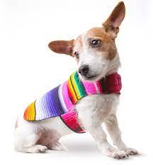 Handmade Dog Poncho From Mexican Serape Blanket Dog Clothes Coat Costume Sweater Vest Details Can Be Found By Cl Dog Poncho Dog Clothes Cat Collars