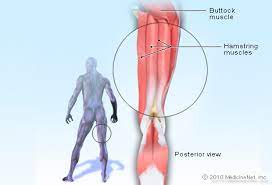 Pulled Hamstring: Causes, Symptoms, Recovery And Treatment