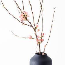 Check spelling or type a new query. Aluminium Vase With Decorative Branch Cherry Blossom Delivery In Germany By Giftsforeurope