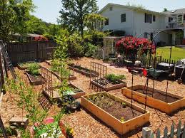 Low Maintenance Backyard Design Concepts Small Vegetable Gardens Garden Layout Fruit Garden Layout