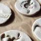 Salt Dough Fossils @ Western Carteret Branch Library