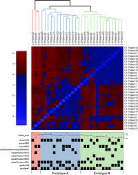 Joanne smith (owner salt lake medium, llc). Frontiers Different Disease Endotypes In Phenotypically Similar Vasculitides Affecting Small To Medium Sized Blood Vessels Immunology
