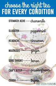 How To Choose The Right Tea For Every Condition Veryhom