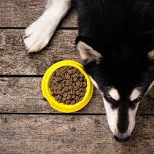 February 26, 2021 looking for ways to give your pet the best of both? About Us Animal Food Bank British Columbia Alberta Manitoba