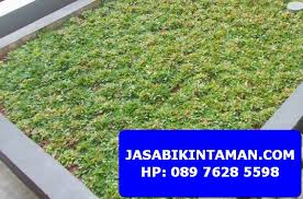 Gajah mini varigata sebutannya menjadi rumput primadona saat ini. Wa 089 7628 5598 Jual Rumput Gajah Mini Perawatan Bantul Bambang Lipuro