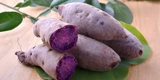 Untuk gansis yang hobi bertanam namun terkendala oleh lahan, maka tabulampot bisa menjadi solusi. Cara Menanam Ubi Jalar Dengan Mudah Untuk Pemula