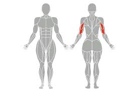 Kaum eine art des fitnesstrainings ist so effektiv und overhead press stehend (schulter). Trizeps Trainieren 12 Ubungen Fur Anfanger Bis Profis