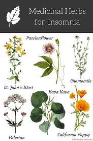 Pin On Herbs For Specific Ailments