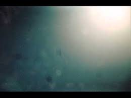 Where We Are From The Birds Sing A Pretty Song Yasume The Prevailing Wind From Where We Re From The Birds Sing A Pretty Song City Centre Offices 200 Pretty Songs Intelligent Dance Music Electronic Music