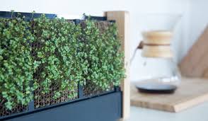 Check spelling or type a new query. Ecoqube Tiny Indoor Vertical Garden Grows Micro Veggies On Its Own In 10 Days