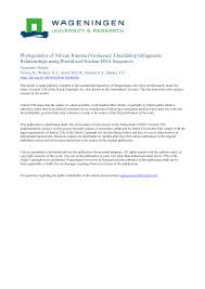 Image result for Rinorea brachypetala