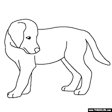 Golden retriever cute puppy coloring pages. Golden Retriever Puppy Coloring Page Cuteanimals