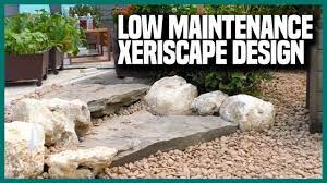 We did not find results for: Drought Tolerant Low Maintenance Xeriscape Landscape Design Earth Works Jax Youtube