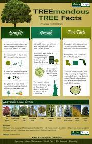 How Often Do You Sit Around And Think About The Significant Contribution Trees Make To Our World Via Arborscape Tree Care Gardening Infographic Facts