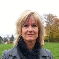 50+ perfiles de «Karcher»