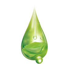 Aloevera Drop Png Image Lens Flare Photoshop Lens Flare Png