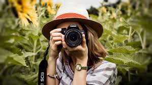 Stock Photography and Videography