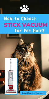 Best Stick Vacuum For Pet Hair On Hardwood Floors 2020 Pet Vacuum Stick Vacuum Cleaning Pet Hair