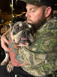 🐾💛 Throwback to when Teddy came home at 6 months old! 💛🐾 This sweet  little guy stole our hearts the moment he walked through the door. Today  I'm sharing one of the