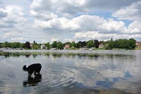 Wannsee from mapcarta, the open map. Vier Berliner Badestellen An Denen Hunde Fast Erlaubt Sind
