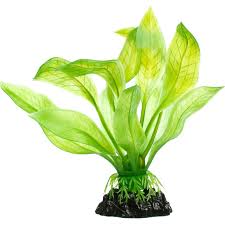 Imagitarium Amazon Sword Green Foreground Plastic Aquarium Plant Petco Planted Aquarium Plastic Aquarium Plants Live Aquarium Plants