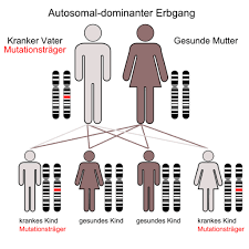 Huntingtin repeat that is expanded and unstable on huntington's disease chromosomes. Chorea Huntington Abbau Von Nervenzellen