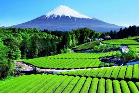 Gambar pemandangan indah ini adalah gili trawangan. 25 Gambar Pemandangan Indah Sketsa Gunung Laut Sawah Desa Beautiful Places To Visit Breathtaking Places Mount Fuji Japan