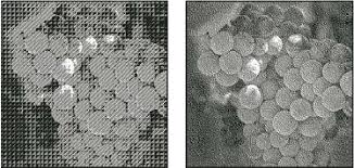 If the image is rgb, click ok to convert it to grayscale. Convert Between Color Modes In Photoshop