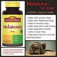 Walmart Carries It And One Pill Does The Trick Just Make Sure The Tablet Has No Flavor They Work Great Also Ma Melatonin For Dogs Meds For Dogs Dog Medicine
