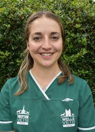 Shepton & Wells Pets Team: Your Trusted Vets & Nurses in Somerset :  sheptonvets