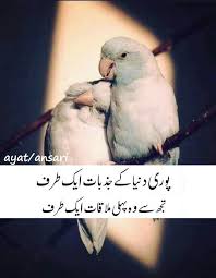 Love Birds In 2020 Romantic Poetry Love Poetry Urdu Romantic