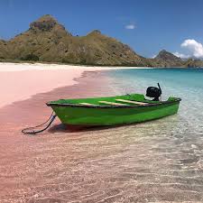 We did not find results for: Informasi Menarik Seputar Pantai Pink Labuan Bajo