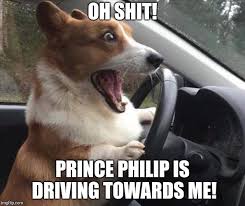 When a man opens a car door for his wife, it's either a new car or a new wife. Dog Driving Imgflip