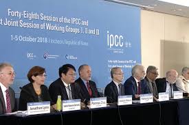 The ipcc is controlled by political hacks who override the scientists with a predetermined agenda. Un Climate Change Report 4 Big Takeaways Vox