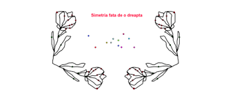 O dreaptă d este axă de simetrie față de o figură geometrică f, dacă simetricul oricărui punct al figurii f aparține de asemenea figurii f (o axă de simetrie împarte o figură în două părți care coincid prin suprapunere). Simetria Fata De O Dreapta Geogebra