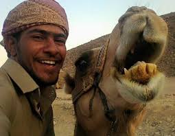 Adventure morning quad safari from El Gouna