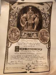 Image result for Copper Chestnut 2012 Cygnet