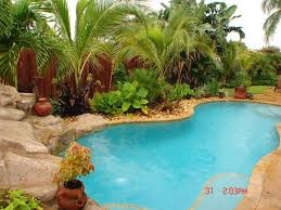 Tropical Pool Landscaping Around Pool Pool Landscaping Tropical Landscaping