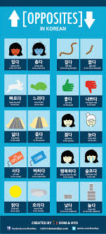Infographic Opposites In Korean Korean Words Korean Phrases Korean Words Learning