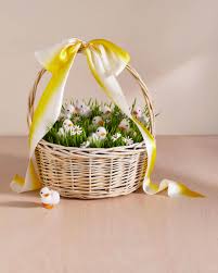 Complete your quiz offer with 100% accuracy and get credited. Our Best Easter Basket Ideas Martha Stewart