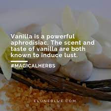 The Love Bean Vanilla Magical Properties And Uses Magical Herbs Magical Herbs Herbal Magic Magickal Herbs