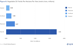 Investors Guide To Palm Oil Toptal