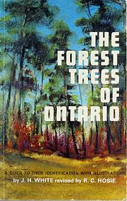 Broadleaf trees are collectively referred to as hardwoods and botanists classify them as angiosperms. The Forest Trees Of Ontario A Guide To Their Identification With Illustrations White J H And Hosie R C 9780774349130 Books Amazon Ca