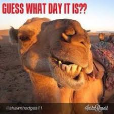 What do you call a three humped camel? 7 Jokes Ideas Bones Funny Laugh Humor